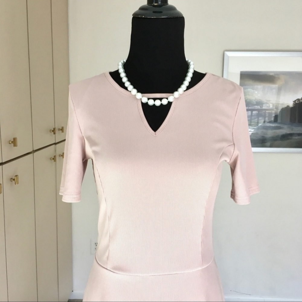 H&M Divided Fit and Flare Skater Pink Dress Size 4